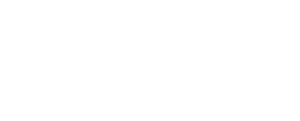 Bold Media Group